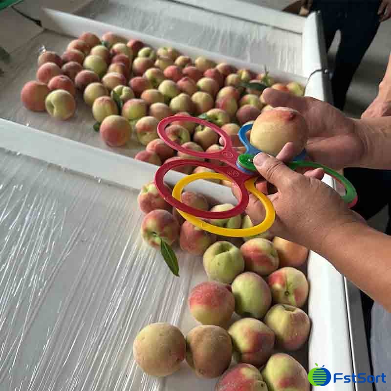 images/1715928708746peach sorting machine.jpg